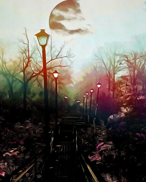 The Black Garden  by Creative Laroi