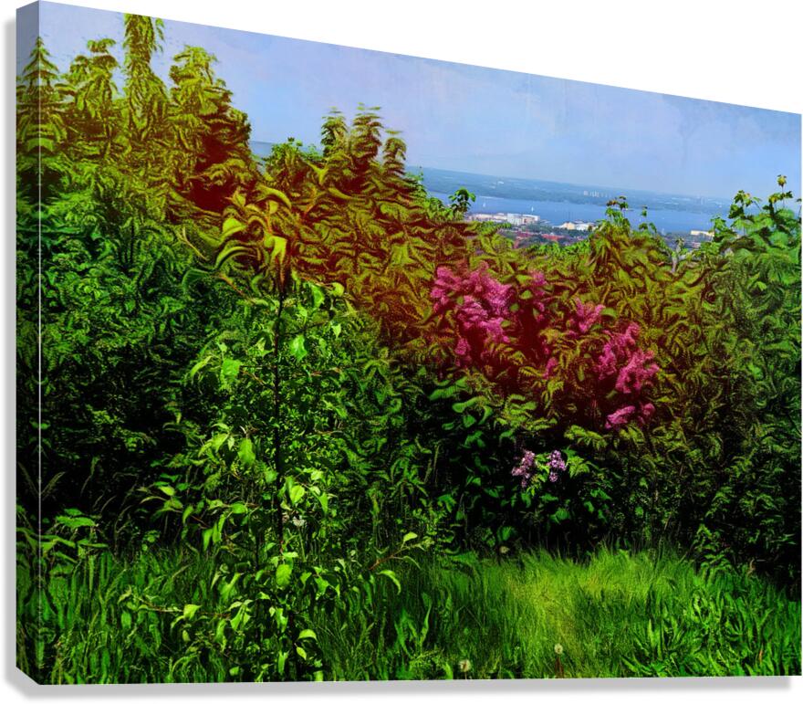 Hamilton  Canvas Print