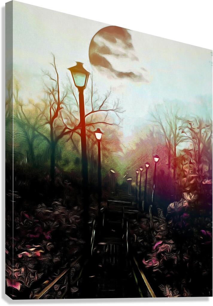 The Black Garden  Canvas Print