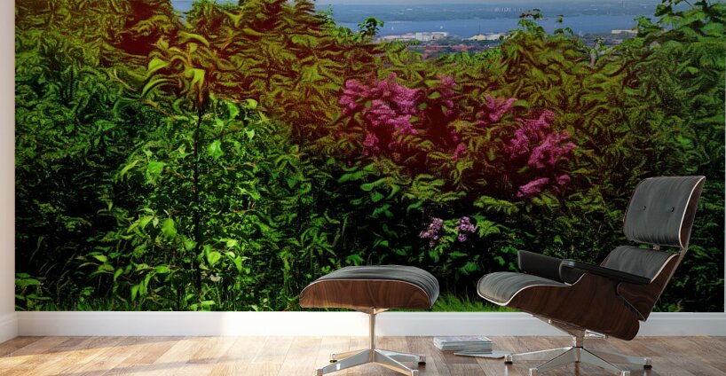 Hamilton  Wall Murals