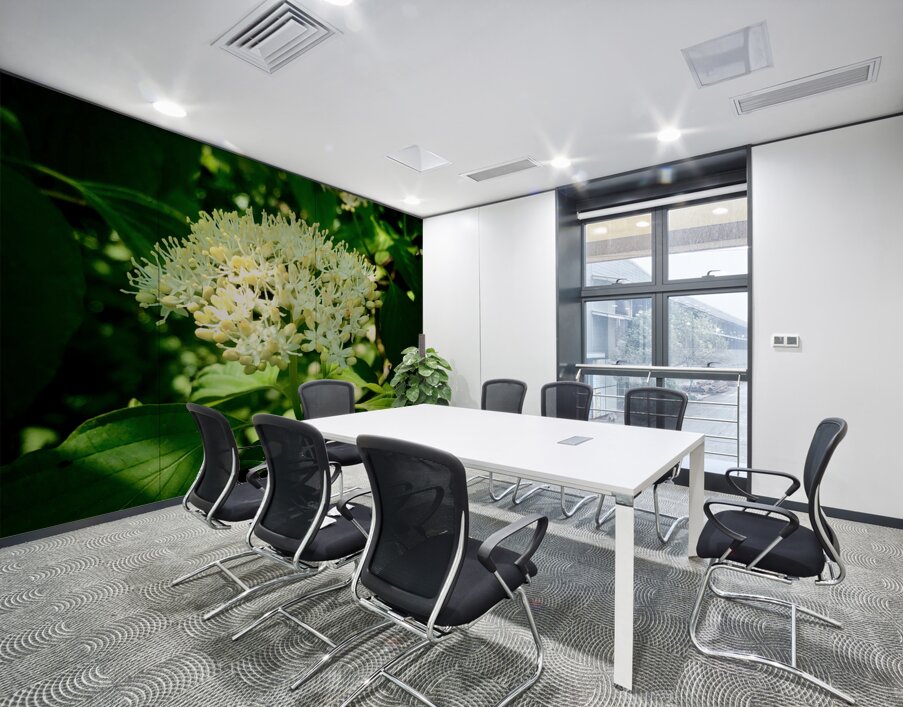 Photosyntesis Wall Printing