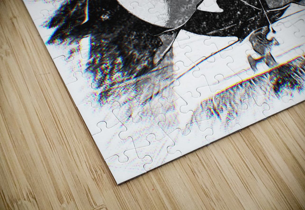 Vision Creative Laroi Puzzle