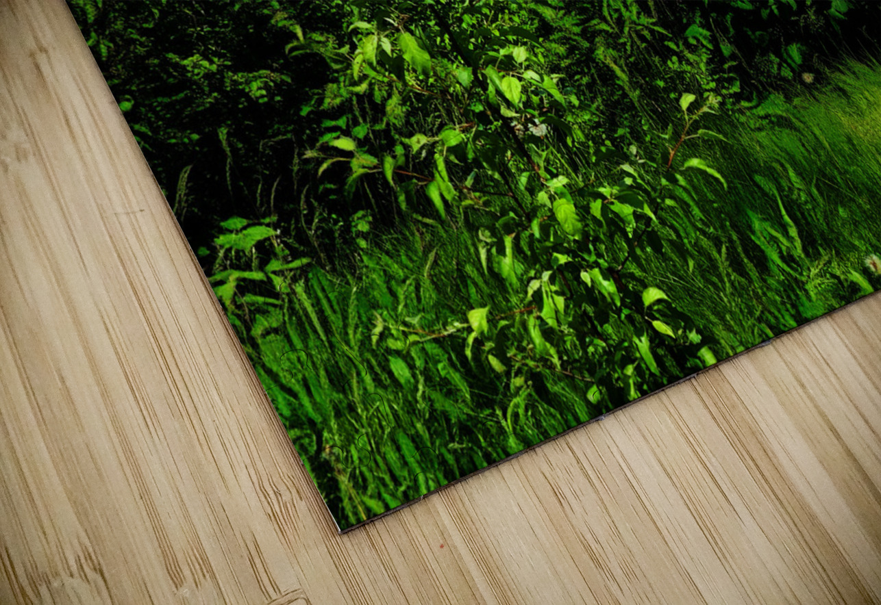 Hamilton  Creative Laroi Puzzle